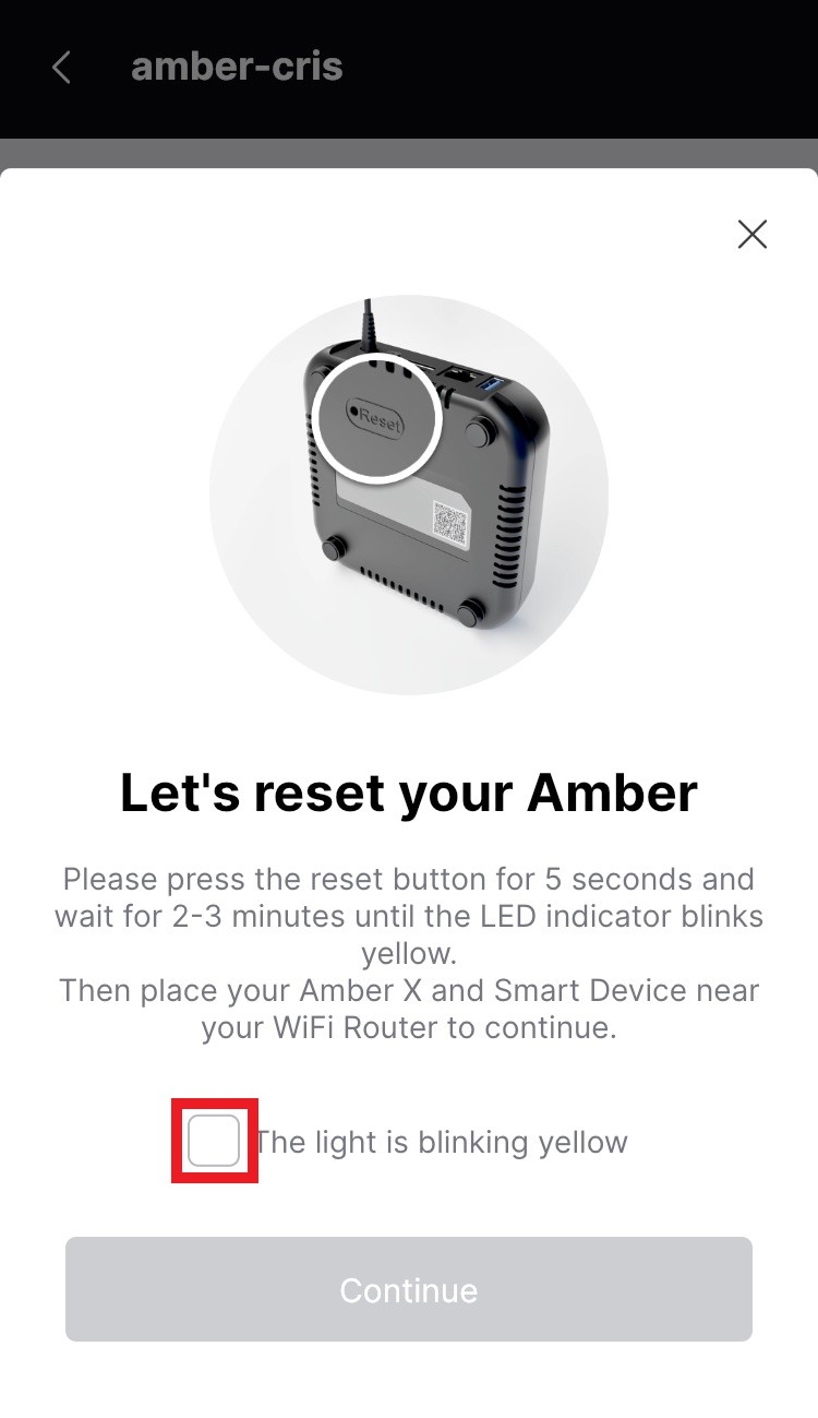BeginAmberReset.jpg