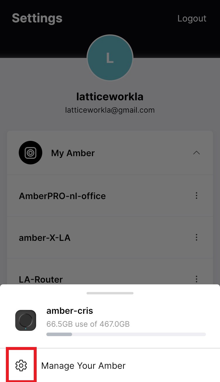AmberCrisManageMyAmber.jpg