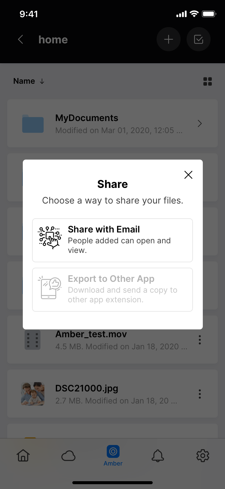 Amber_X_File_Share_One_way.png
